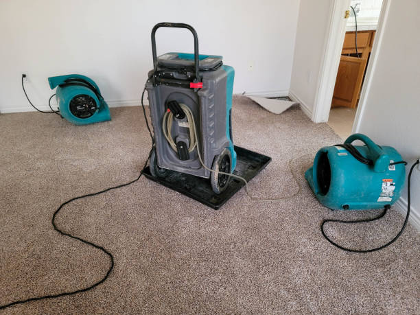 Best 24/7 water damage repair  in Hargill, TX