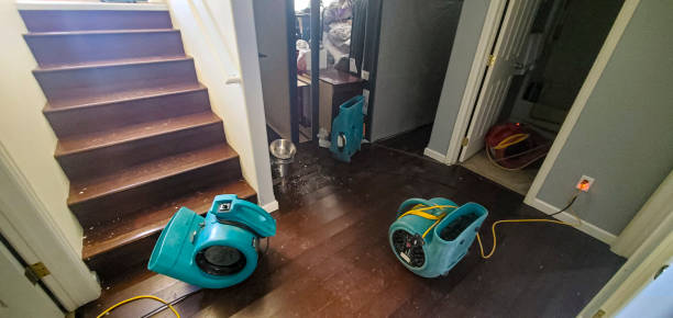 Best Carpet water damage restoration  in Hargill, TX