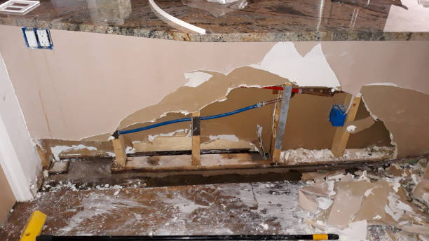 Best Flooded house restoration  in Hargill, TX