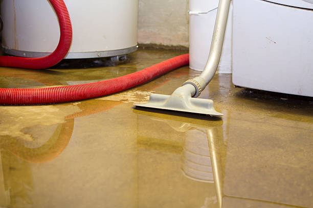 Best Ceiling water damage repair  in Hargill, TX