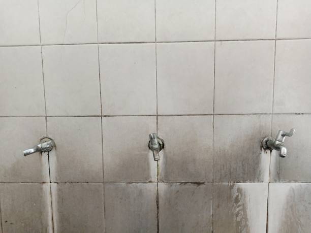 Best Fire Damage Restoration  in Hargill, TX