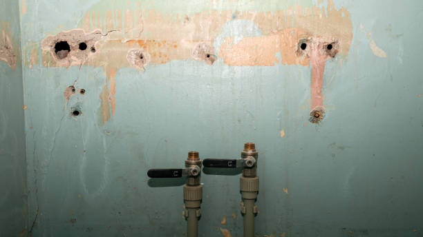 Hargill, TX Water damage restoration Company