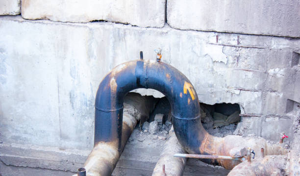 Best Water damage contractors near me  in Hargill, TX