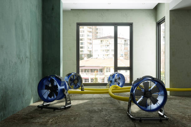 Best 24-hour water damage restoration  in Hargill, TX